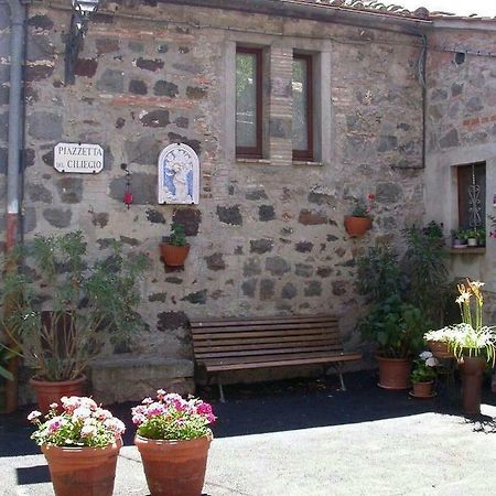 Casa Del Ciliegio Villa Radicofani Bagian luar foto