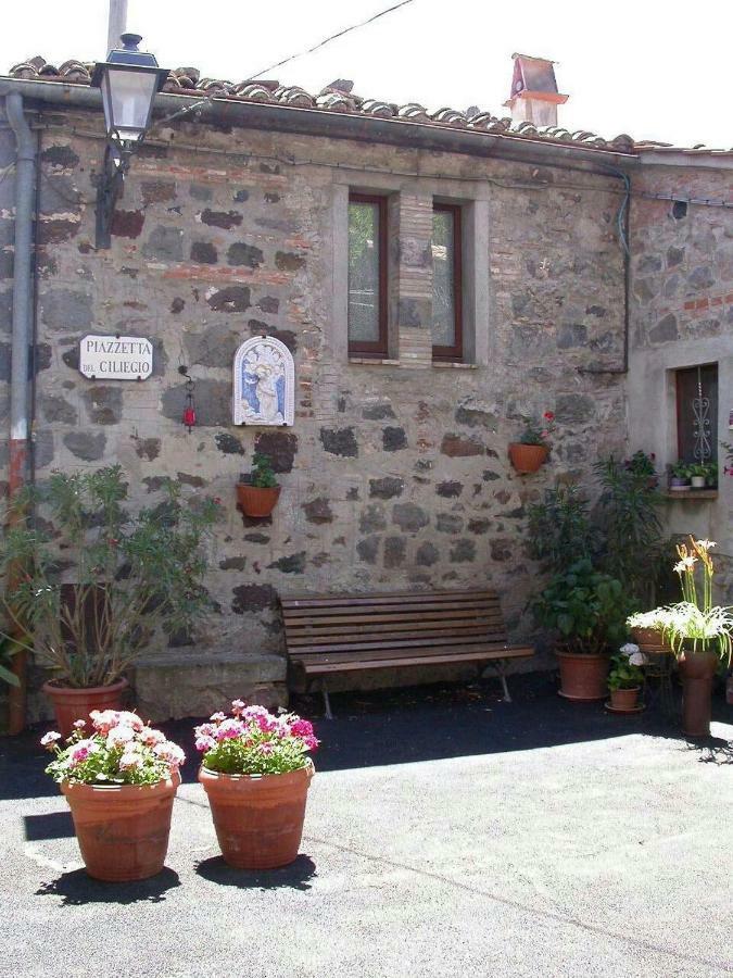 Casa Del Ciliegio Villa Radicofani Bagian luar foto